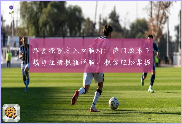 炸金花官方入口解析：热门版本下载与注册教程详解，教你轻松掌握玩法秘诀