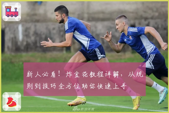 新人必看！炸金花教程详解，从规则到技巧全方位助你快速上手