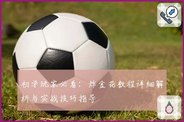 初学玩家必看：炸金花教程详细解析与实战技巧指导
