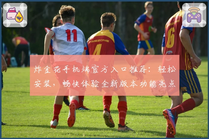 炸金花手机端官方入口推荐：轻松安装，畅快体验全新版本功能亮点