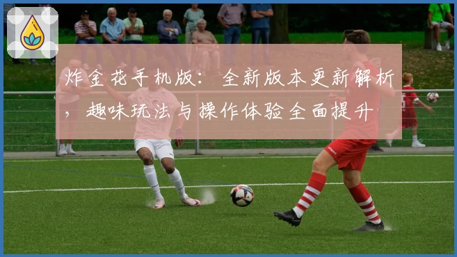 炸金花手机版：全新版本更新解析，趣味玩法与操作体验全面提升