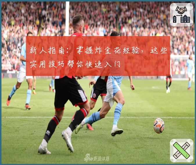 新人指南：掌握炸金花经验，这些实用技巧帮你快速入门