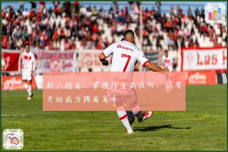 新人指南:掌握炸金花技巧,从零开始成为牌局高手